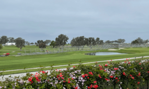 Torrey Pines Golf Course