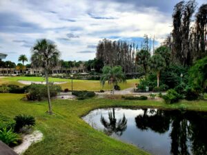 Saddlebrook Golf