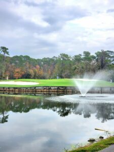 Disney Lake Buena Vista