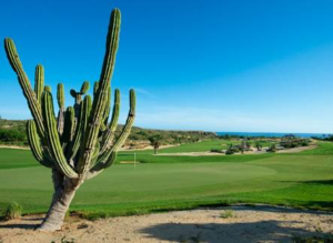 Pueblo Bonito Resorts Sustainability