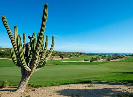 Pueblo Bonito Resorts Sustainability